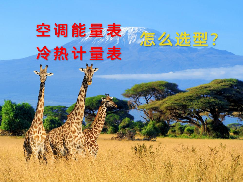 空調(diào)能量表/冷熱計(jì)量表 怎么選型？
